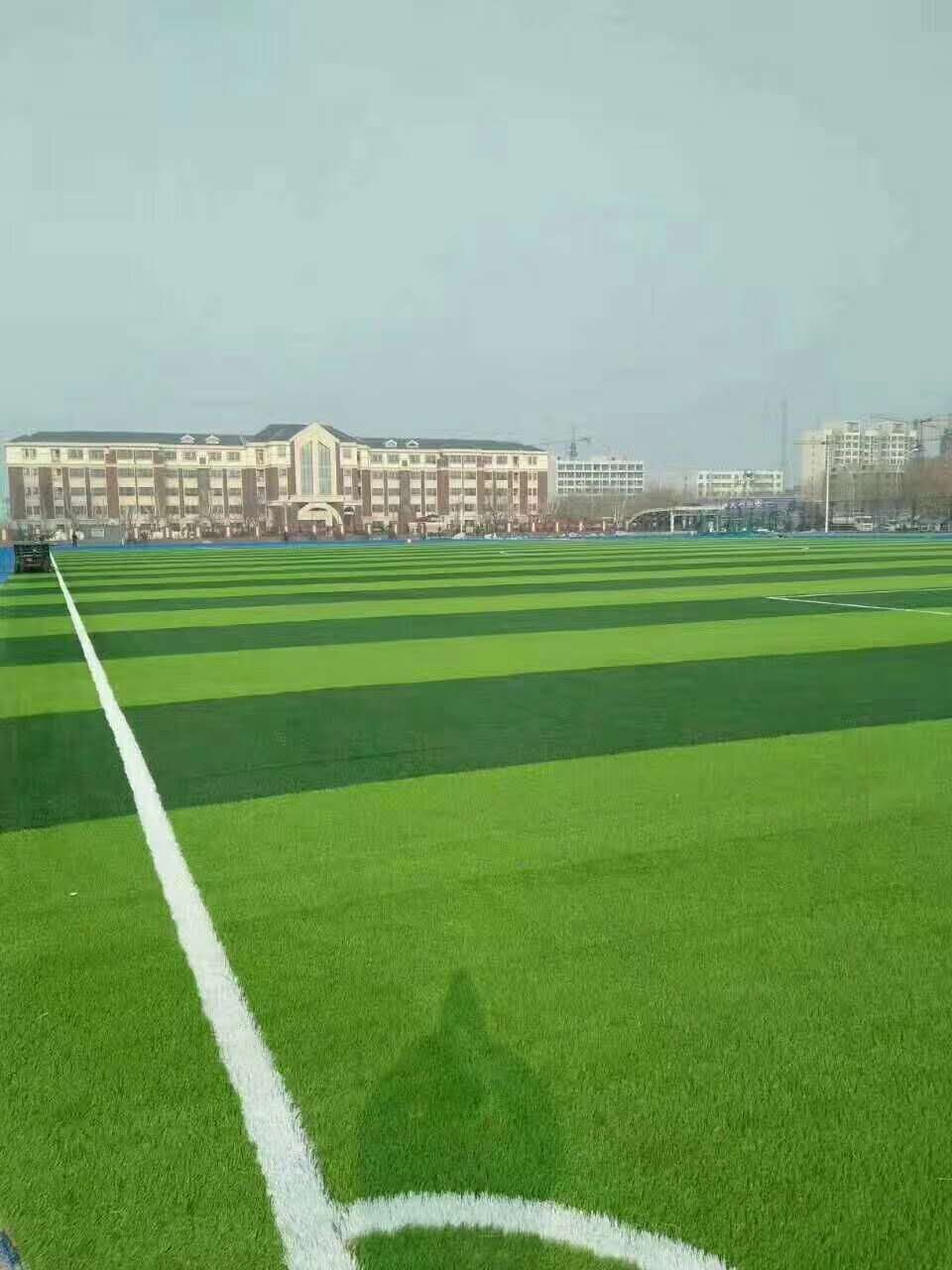 安顺市epdm塑胶跑道仿真草坪 - 价格